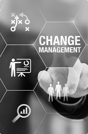 Change-Management BW